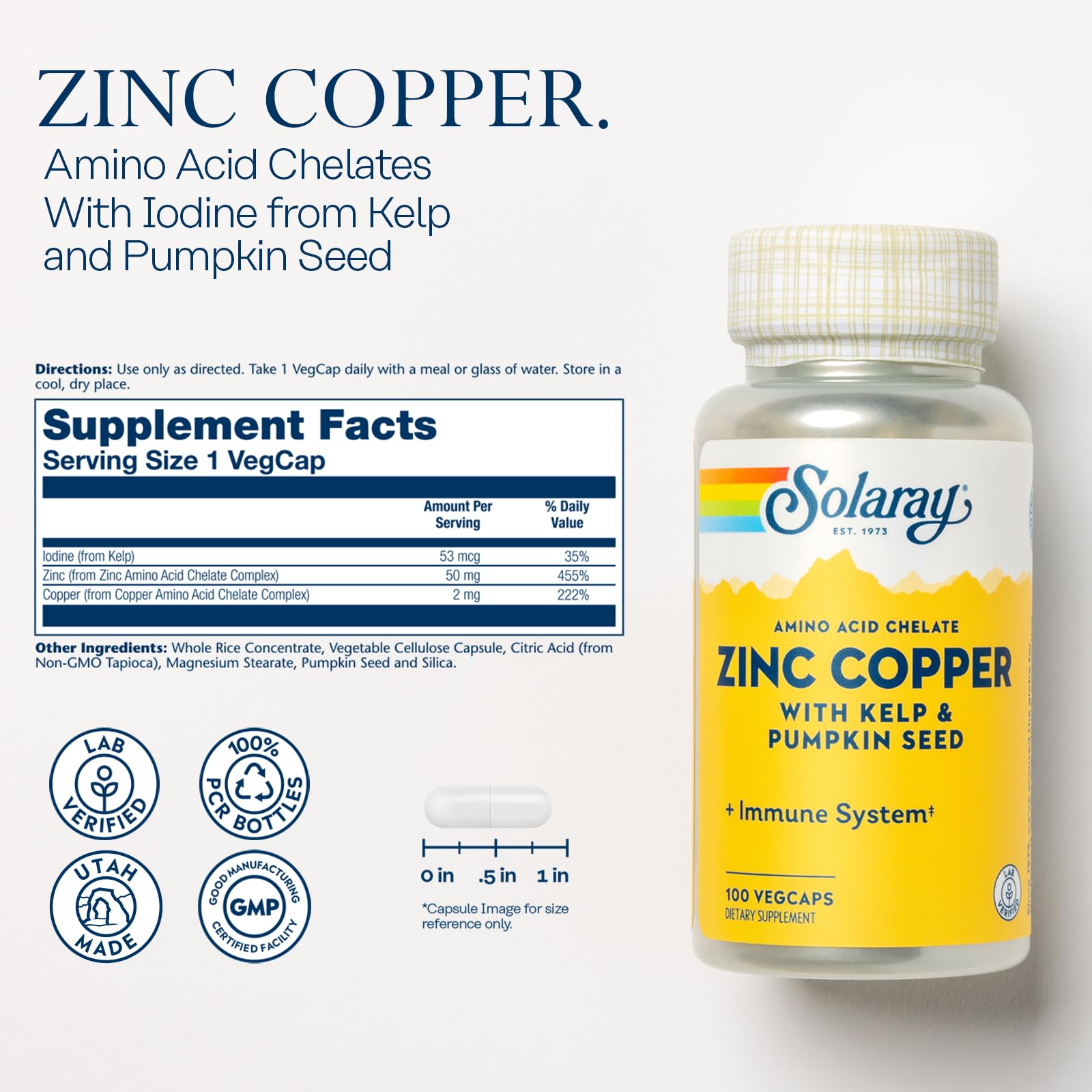SOLARAY Zinc Copper Amino Acid Chelate, 100 VegCaps | Immune, Bone & Thyroid Support, Chelated Zinc, Copper & Iodine from Kelp, 100 Servings, Lab Verified