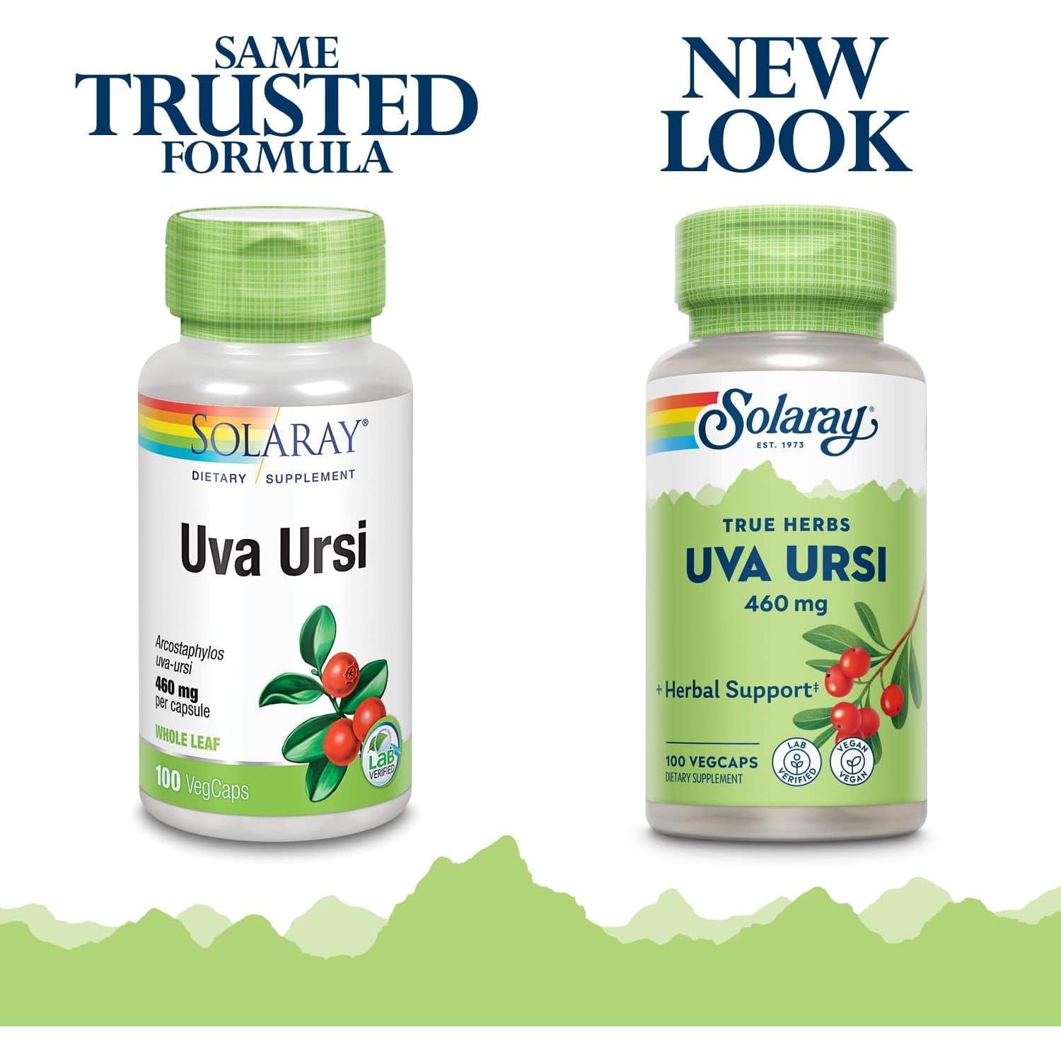Buy now SOLARAY Uva Ursi Leaf 460 mg | Healthy Bladder, Kidney & Urinary Tract Function Support | Non-GMO | 100ct (Take 3 Daily) at indiglob india
