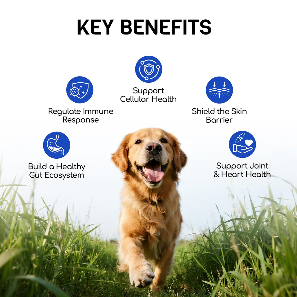 Dog Allergy Relief Chews, Itching Skin & Paw Licking, 180 Ct