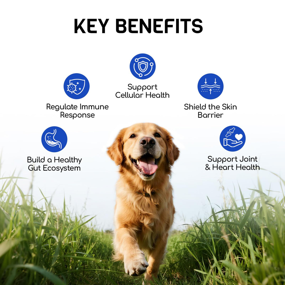 Dog Allergy Relief Chews, Itching Skin & Paw Licking, 180 Ct