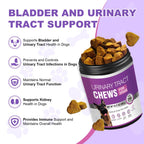 Dog UTI Treatment, 200 Soft Chews Cranberry Supplement for Dogs with D-Mannose Support Normal Urinary Tract Bladder Health & Kidney & Incontinence Remedy Stops UTI Treats Chicken Flavor