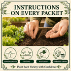 Gardeners Basics Lettuce and Greens Heirloom Vegetable Seed Non-GMO Seeds for Planting Indoors and Outdoor - Lettuce Buttercrunch, Romaine, Arugula, Kale and Spinach, Pack of 5