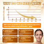 15-in-1 Liposomal NMN Supplement, 2000mg per* Serving*, 120 Day Supply, 99% Pure, NAD+ NMNH Alternative with Nicotinamide Mononucleotide, Resveratrol, TMG, CoQ10, Quercetin & Glutathione, 120 Capsules