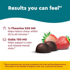 Nature Made Wellblends Stress Relief Gummies, 40 Strawberry Flavor Gummies | L theanine 200mg to Help Reduce Stress, with GABA 100mg, Same Day Stress Support