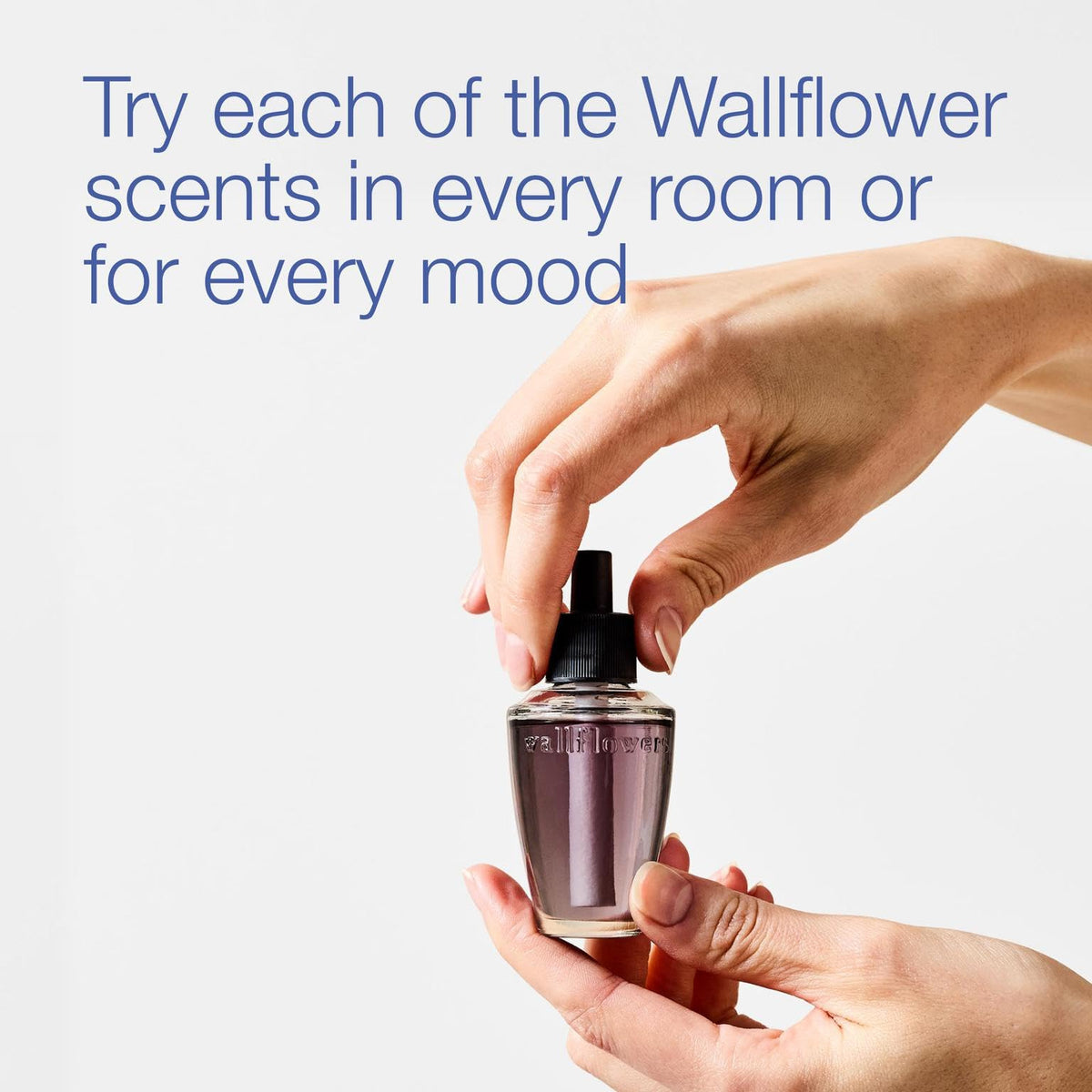 Bath & Body Works Wallflowers Refills, Lavender Vanilla Scent, 6 Pack