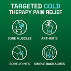 Buy now Biofreeze Pain Relief Spray, Arthritis Pain Reliever, Knee & Lower Back Pain Relief, Sore Muscle Relief, Neck Pain Relief, FSA Eligible, 2 Pack (4 FL OZ Biofreeze Menthol Spray) at indiglob india