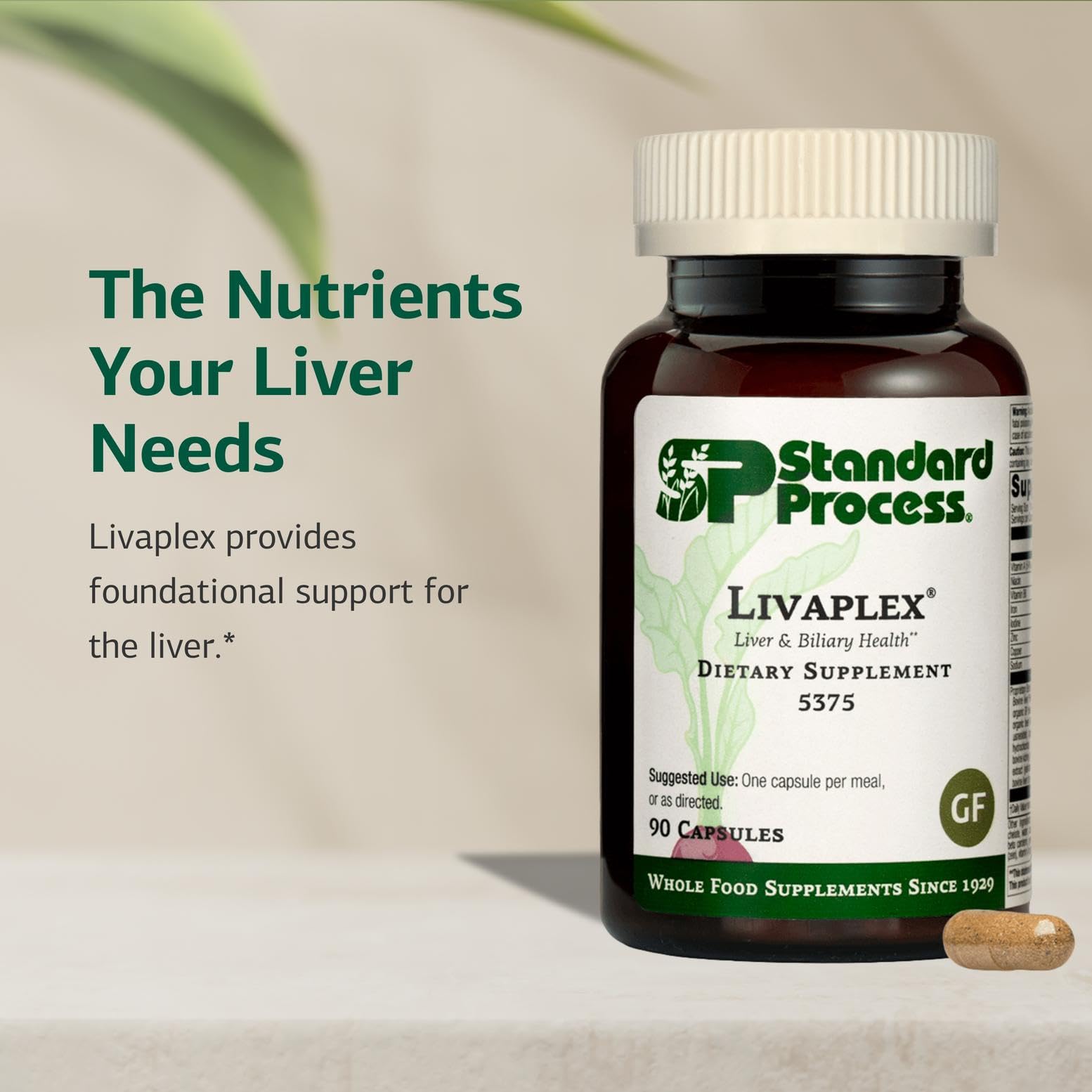 Buy now Standard Process Livaplex - Whole Food Bowel, Digestion and Digestive Health, Liver Health and Gallbladder Support with Spanish Black Radish, Betaine Hydrochloride, and Organic Carrot - 90 Capsules at indiglob india