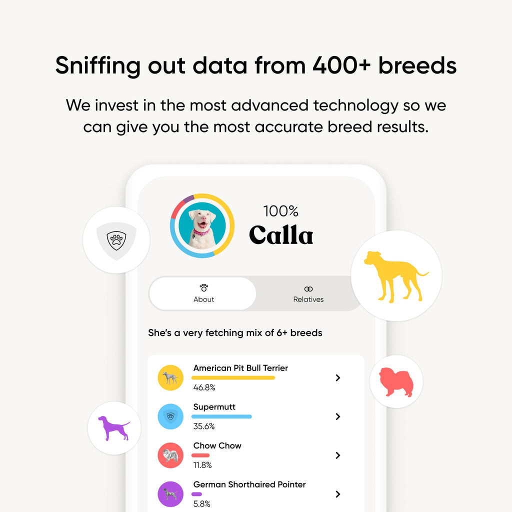 Embark Breed ID Dog DNA Test Kit – 400+ Breeds, 99% Breed Accuracy