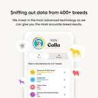 Embark Breed ID Dog DNA Test Kit – 400+ Breeds, 99% Breed Accuracy