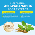 Ashwagandha Gummies Supplements 2000mg for Women Men - Vegan, Sugar Free | w/ Vitamin D3, B12 & Turmeric, Organic Ashwagandha Root Extract Supplements Gummy, 10-IN-1 Formula, Mixed Berry Flavor, 120ct