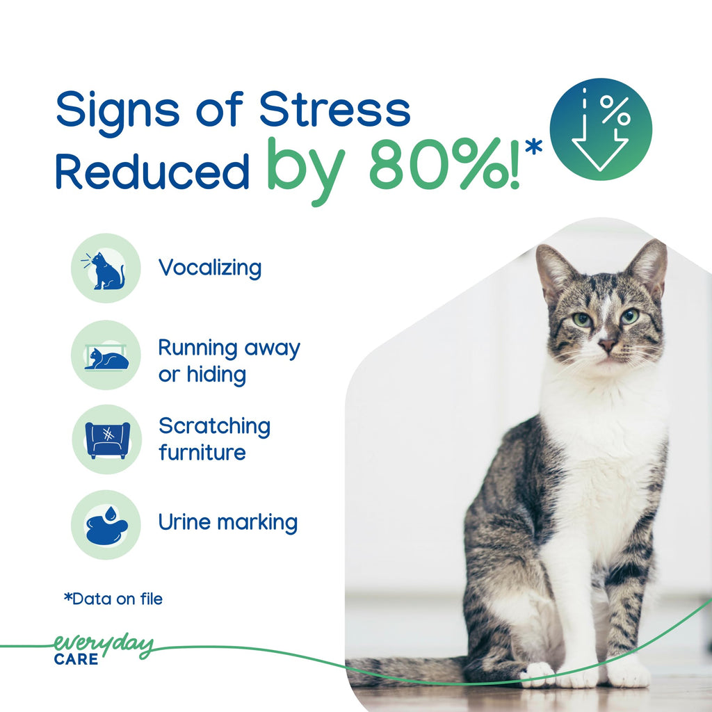 ZENIFEL Gel Diffuser Cat Calming Pheromone|Supports Stress Relief