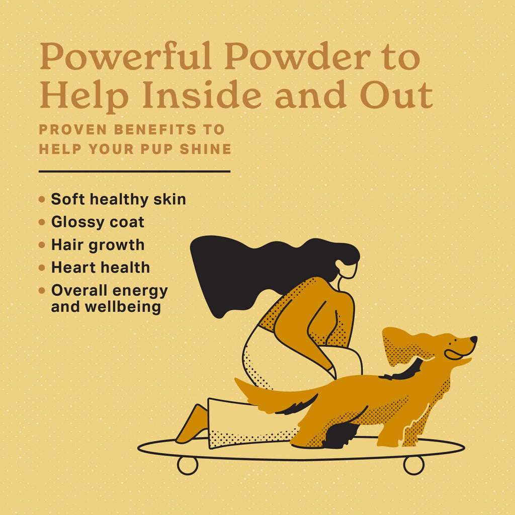 The Missing Link Skin & Coat Superfood Supplement Powder, Dogs, 1 lb