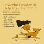 The Missing Link Skin & Coat Superfood Supplement Powder, Dogs, 1 lb