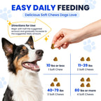 Fish Oil for Dogs Allergy and Itch Relief Chews - Omega 3 for Dog Skin and Coat Care - Salmon Oil for Dogs Anti Shedding Supplement Hot Spot Treatment EPA & DHA 200 Ct