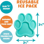 Buy now Bentology Kids Lunch Bag Set w Matching Reusable Water Bottle & Hard Ice Pack- Blue Purple Cheetah Cat- Insulated Tote, Stainless Steel Insulated Thermos, Hard Ice Pack- Back to School Lunchbox Kits at indiglob india