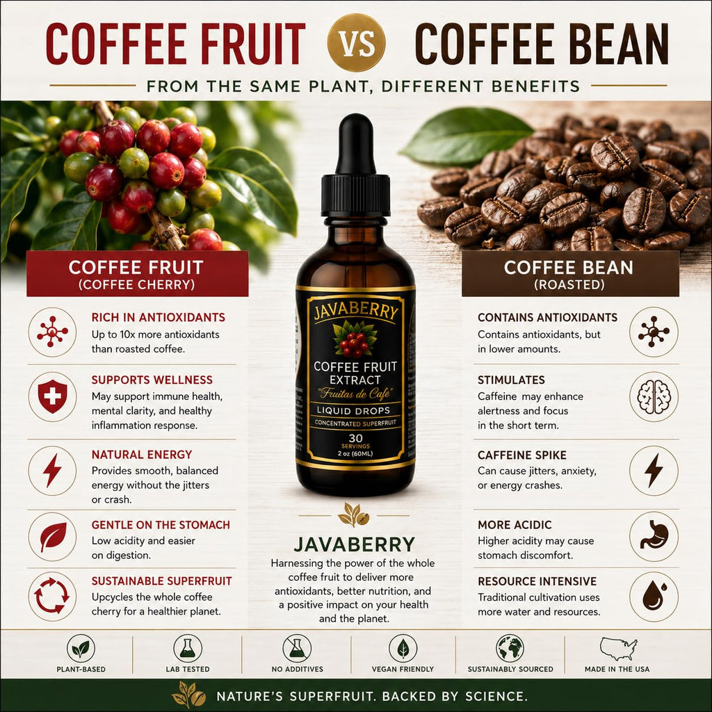 Whole Coffee Fruit Extract – Brain, Focus & Memory Support with BDNF | Low-Caffeine Coffee Cherry Superfruit Concentrate | Polyphenols & Antioxidants, Sugar-Free | 60mL Liquid