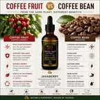 Whole Coffee Fruit Extract – Brain, Focus & Memory Support with BDNF | Low-Caffeine Coffee Cherry Superfruit Concentrate | Polyphenols & Antioxidants, Sugar-Free | 60mL Liquid