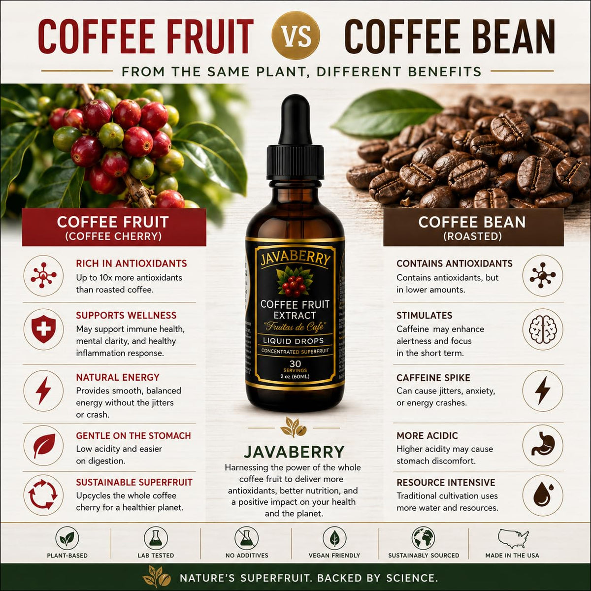 Whole Coffee Fruit Extract – Brain, Focus & Memory Support with BDNF | Low-Caffeine Coffee Cherry Superfruit Concentrate | Polyphenols & Antioxidants, Sugar-Free | 60mL Liquid