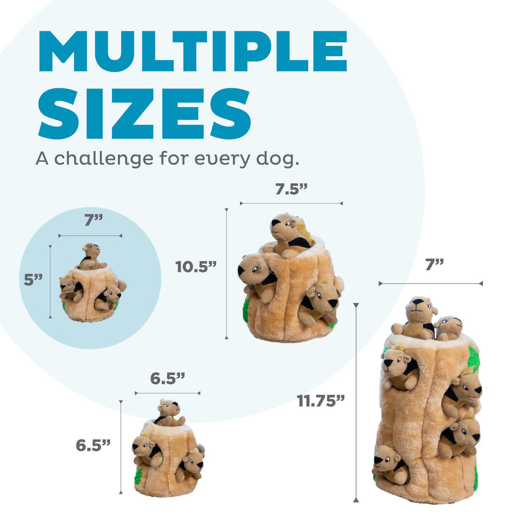 Outward Hound Hide-A-Squirrel Plush Squeaky Dog Toy, Small, 5" x 7"