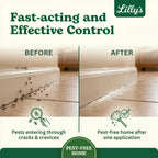 Diatomaceous Earth Food Grade with Peppermint Oil Crawling Insect Killer | Indoor Pest Control Powder for Bed Bug, Roach, Ant, Fleas | Lilly's naturals, 12 fl oz