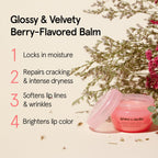 grace & stella Award Winning Lip Butter - Hydrating Lip Balm (3 - Pack) | Nourishing Lip Mask Travel Essentials, Travel Size Toiletries, Birthday Gifts for Women & Teens - Overnight Lip Repair -Vegan
