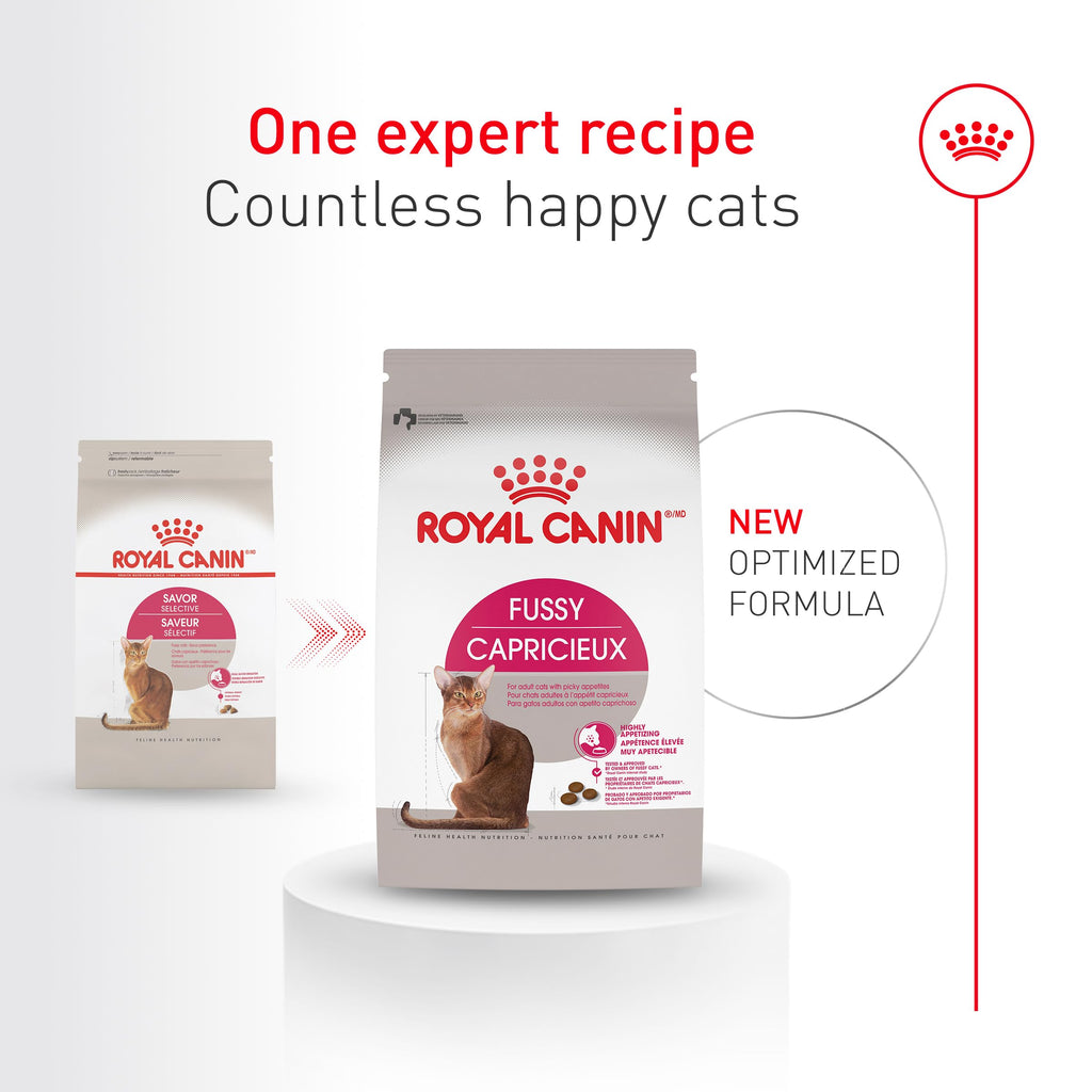 ROYAL CANIN Fussy Dry Cat Food for Adult Cats, Protein-Rich Kibbles for Picky Eaters, Poultry-Based, Supports Healthy Weight and Urinary Health, 7 lb Bag