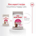 ROYAL CANIN Fussy Dry Cat Food for Adult Cats, Protein-Rich Kibbles for Picky Eaters, Poultry-Based, Supports Healthy Weight and Urinary Health, 7 lb Bag