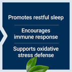 Life Extension Melatonin, 500 mcg, Low Dose, 200 Capsules