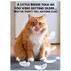 Funny Birthday Card for Women, Men, Friends! Hilarious Cat, Bird Photo Joke