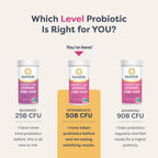 Buy now Renew Life Women's Probiotic Capsules, 50 Billion CFU Guaranteed, Supports pH Balance, Vaginal, Urinary, Digestive and Immune Health(2), L. Rhamnosus GG, Dairy, Soy and Gluten-Free, 30 Count at indiglob india