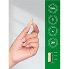Horbäach Marshmallow Root Capsules | 120 Count | Non-GMO & Gluten Free