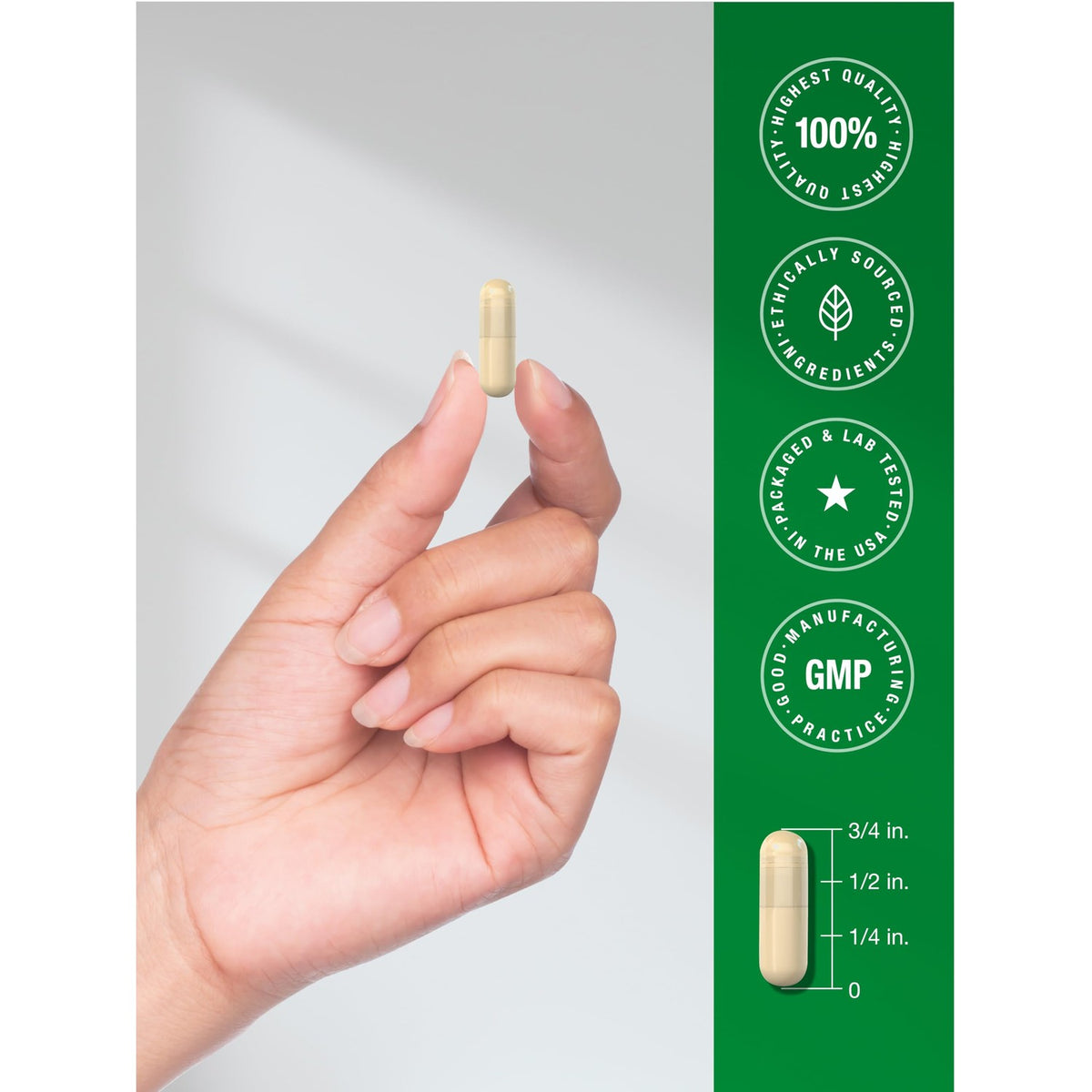 Horbäach Marshmallow Root Capsules | 120 Count | Non-GMO & Gluten Free