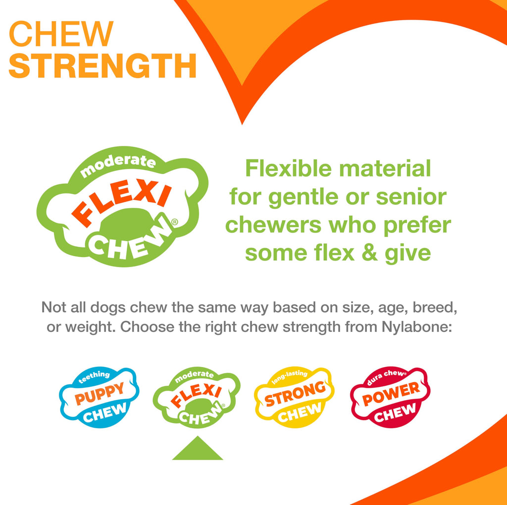 Buy now Nylabone Original Bone Flexi Chew Toy for Dogs, Flexible Dog Toys for Moderate Chewers, Chicken Flavor, Large/Giant, 1 Count at indiglob india