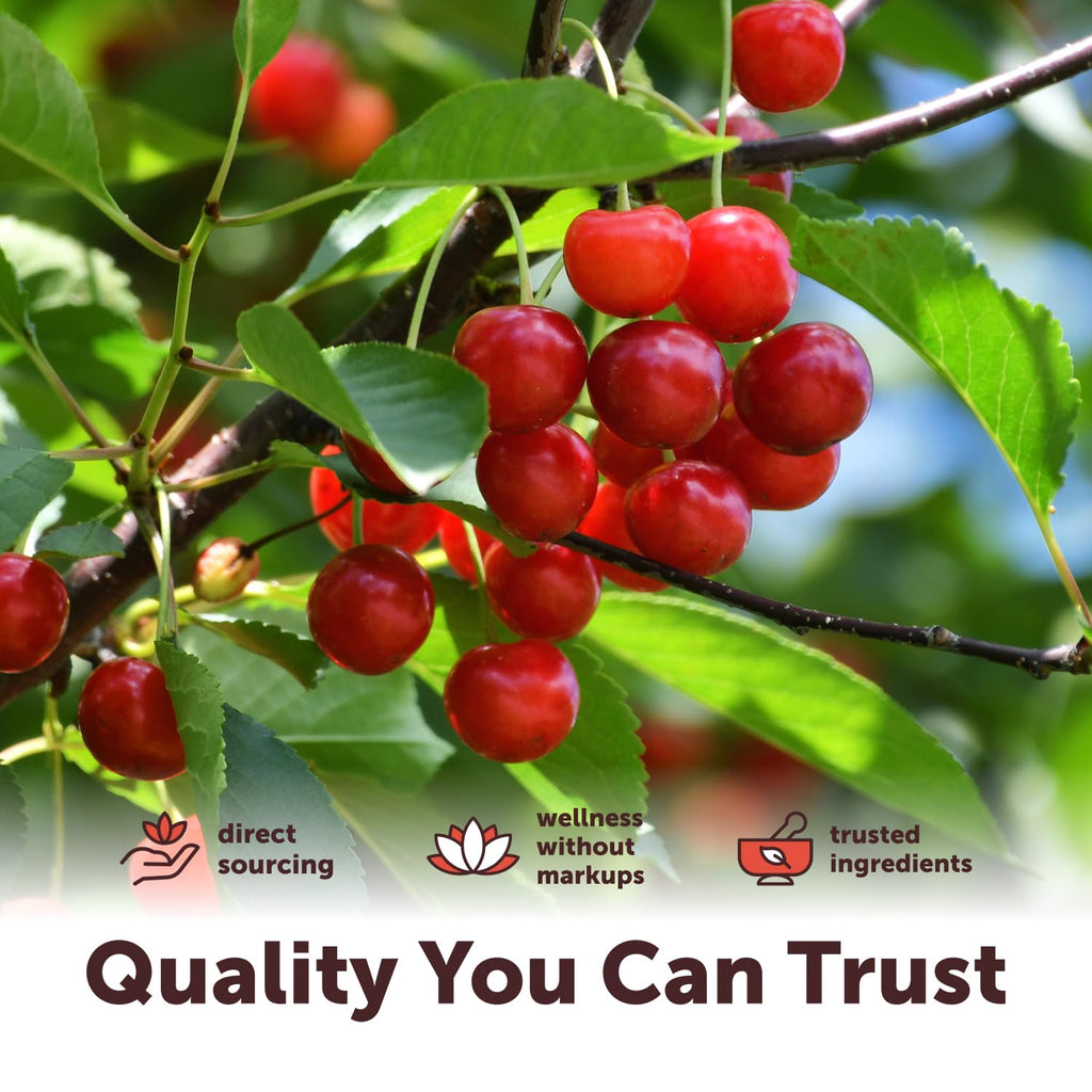 Micro Ingredients USDA Organic Tart Cherry Powder, 4oz | Raw Superfood