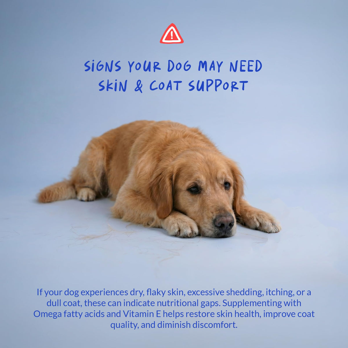 Dog Omega 3 Fish Oil Skin and Coat Supplement for Dry Skin & Allergy Relief