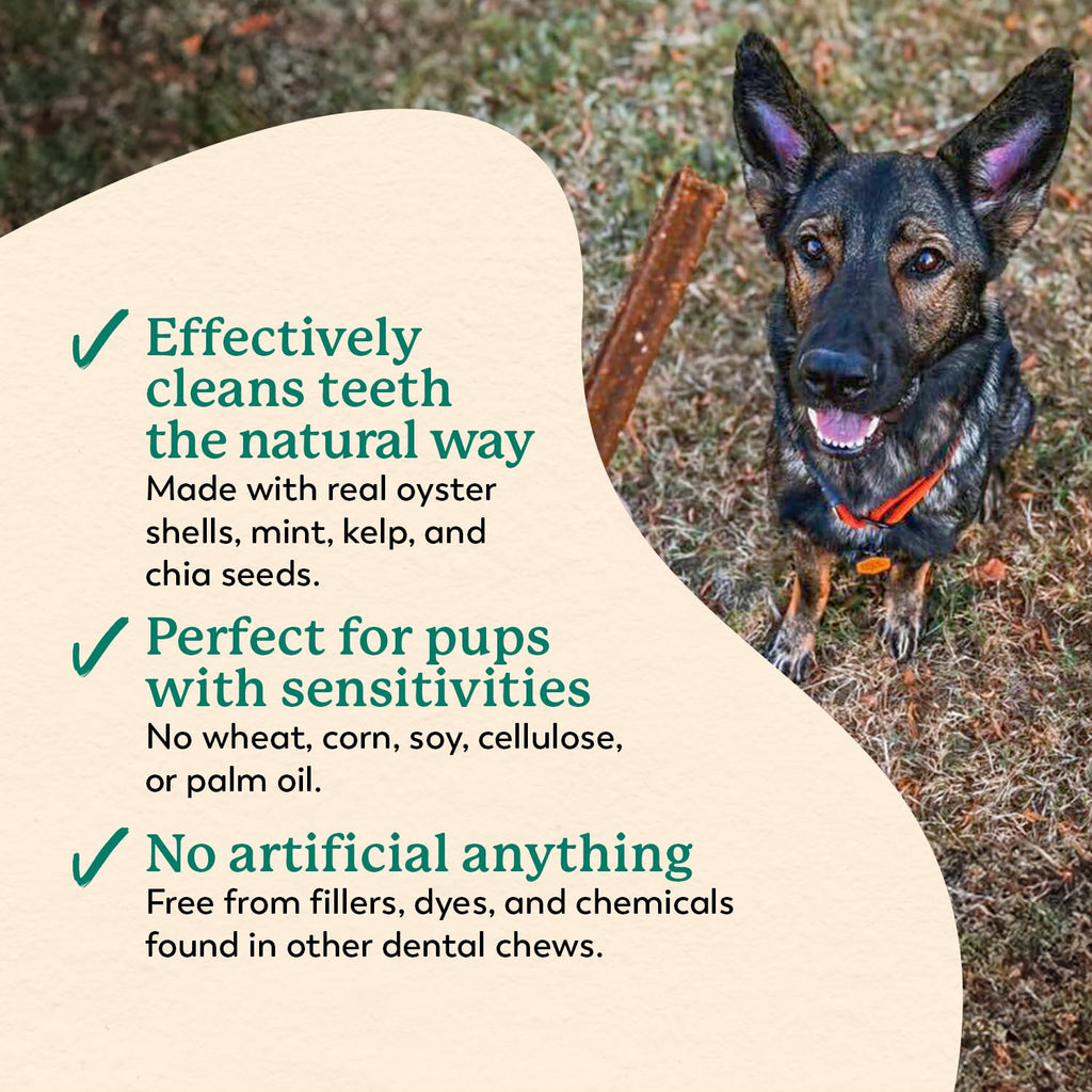 Dr. Harvey's Holistix Dental Chews for Dogs for Fresh Breath (24 Sticks)