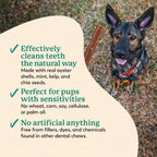 Dr. Harvey's Holistix Dental Chews for Dogs for Fresh Breath (24 Sticks)