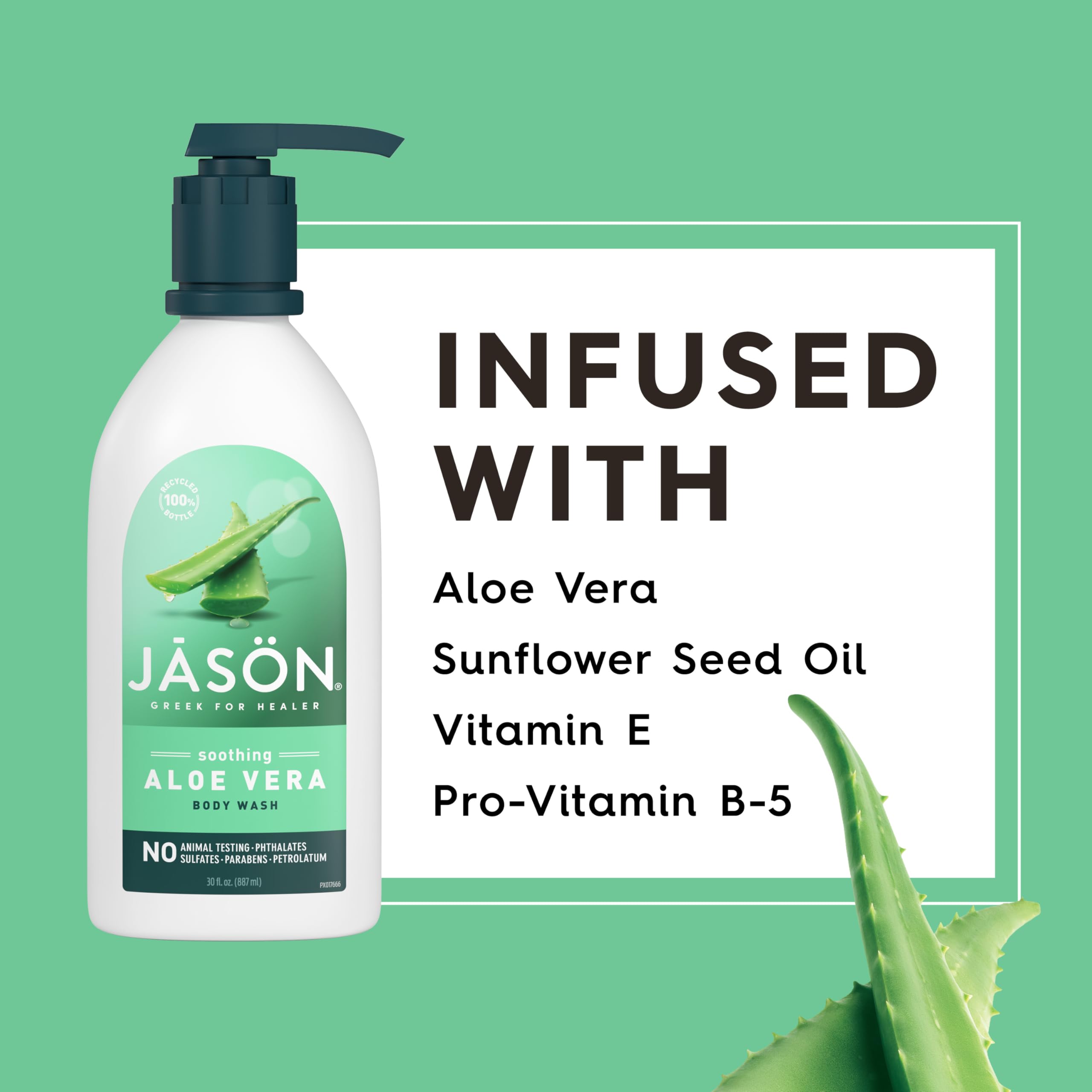 Buy now JASON Aloe Vera Soothing Body Wash, For a Gentle Feeling Clean, 30 Fluid Ounces at indiglob india