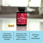 Ancient Nutrition Hydrolyzed Multi Collagen Peptides Capsules | Women & Men, Vitamin C, Probiotics, Grass-fed Hydrolyzed Collagen, Supports Skin, Hair, Nails, Joints, Gut Health, 90 Count