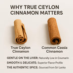 Metabolae Ceylon Cinnamon Capsules – 300 Softgels, Supports Metabolic Balance, Energy & Daily Wellness, Cinnamomum Verum Extract with MCT Oil, Non GMO (1)