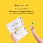 Embark Breed ID Dog DNA Test Kit – 400+ Breeds, 99% Breed Accuracy