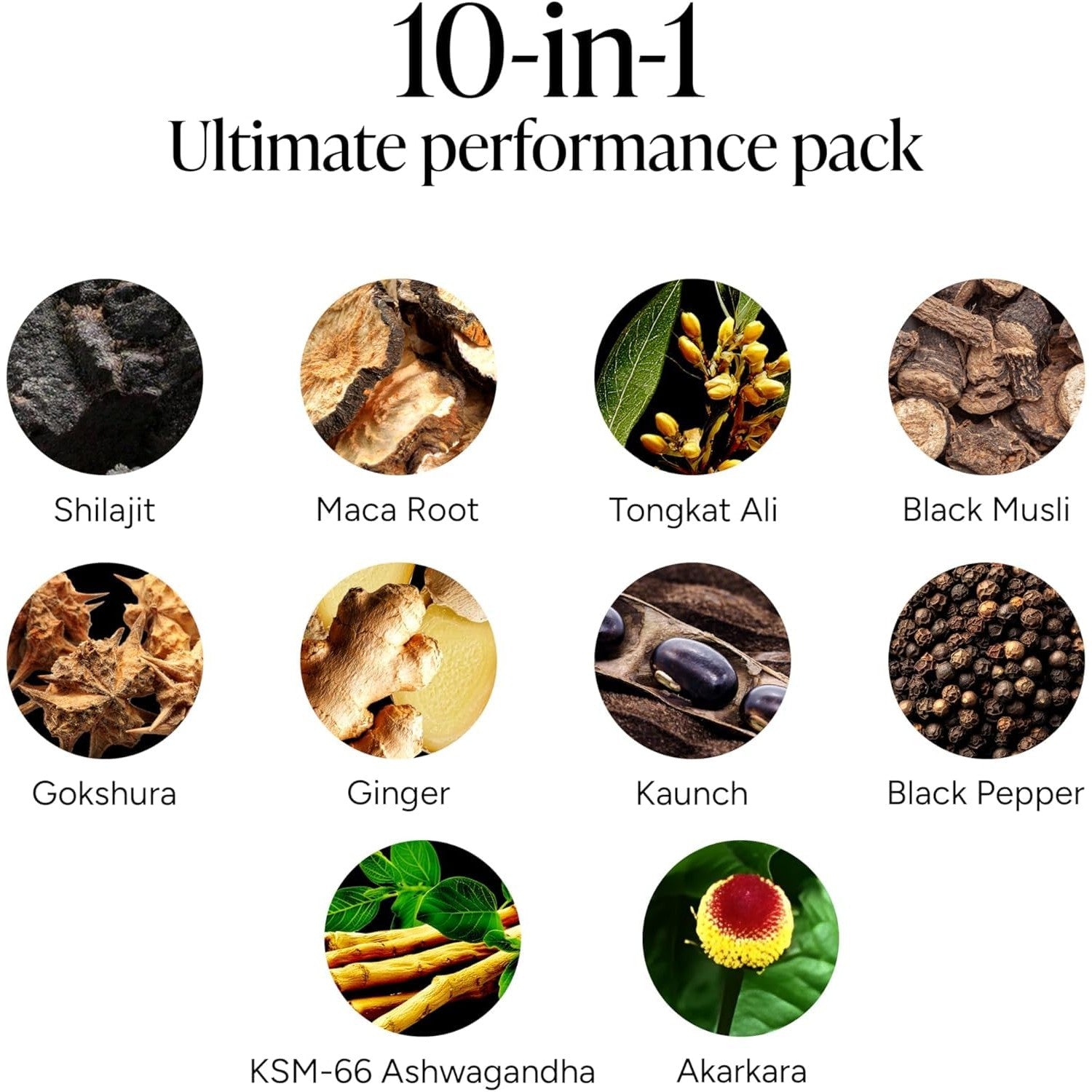 ROOT LABS 10-in-1 Alpha Shilajit Gummies | 400 mg Pure Himalayan Shilajit with Tongkat Ali & Maca Root | Shilajit for Men & Women | ShilAbsorb Bioavailability Tech | Sugar-Free, Vegan | 60 Gummies