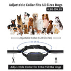 Dog Shock Collar with Remote Control - Rechargeable Dog Training Collar, IPX7 Waterproof E Collar for Dogs with 4 Safe Modes Flashlight Beep Vibration Shock Ideal for All Dog Sizes (8-150lbs)
