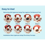 Ligas para Brackets Ortodoncia Dental braces color changing kit orthodontic Dental Ligature Ties for Brackets Change Braces Color Easily DIY Braces Color Kit 1040pcs