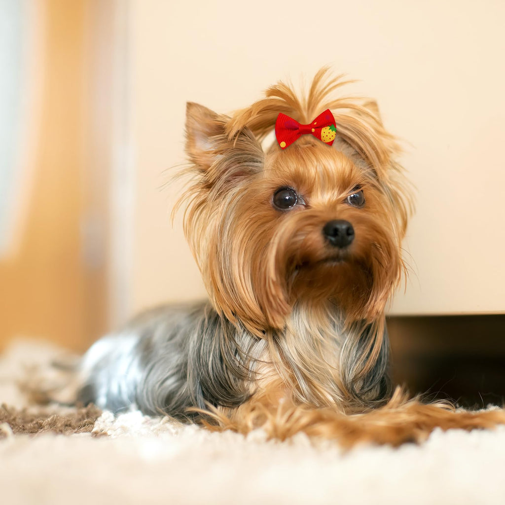 Small Dog Hair Bows with Rubber Bands for Small Medium Dogs