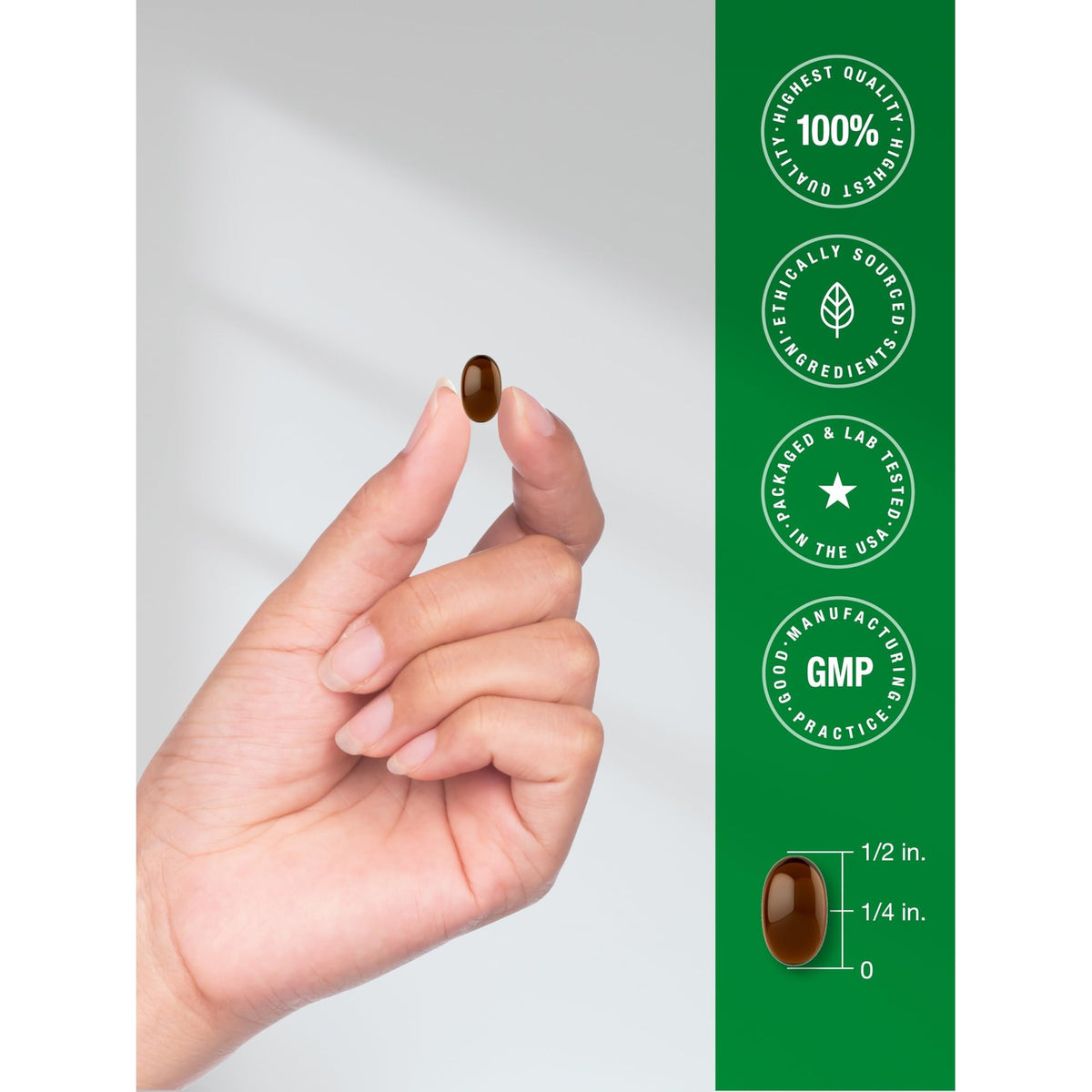 Horbäach Oil of Oregano with Blackseed Oil Softgels | 90 Pills