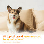 Douxo S3 PYO Medicated Dog Mousse - Bacterial & Yeast Infection Treatment