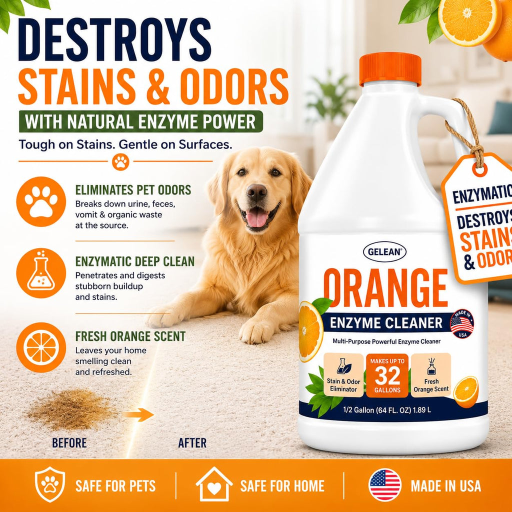 Multi-Purpose Probiotic Enzyme orange Cleaner, 1/2 Gallon (64 oz.) - Pet Stain and Odor Remover - Concentrated - Professional & Home Strength Drains, Floors, Bathrooms, Toilets Trash Can, Made in USA