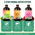Serene Herbs Soursop Bitters Liquid & Black Seed Bundle – Organic Herbal Guanabana for Digestive Support & Immune Health – Vegan, Non-GMO – 32 oz (16 oz Each), (3 Pack)