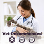Broad-Spectrum Dewormer for Cats & Dogs | Praziquantel + Pyrantel Pamoate | Controls Tapeworms, Roundworms & Hookworms | 12 Flavored Tablets